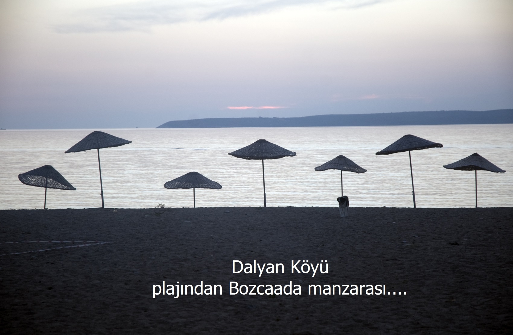 Chiyanno's Inn Butik Pansiyon Geyikli